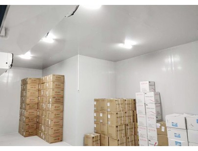 遼寧2-8℃社區衛生中心醫藥試劑全自動化冷庫建造方案