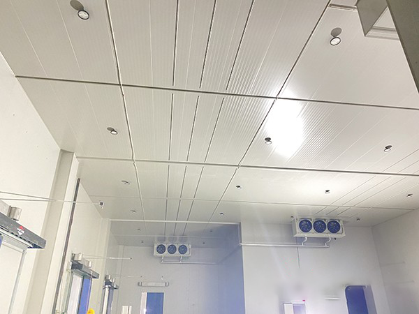 大型冷庫建造工程設計方案
