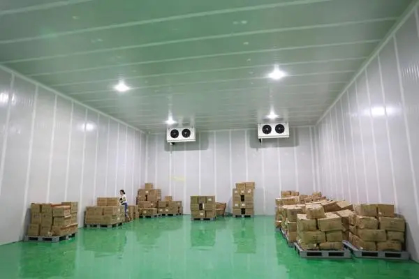 大型物流冷庫工程施工方案設計規范標準