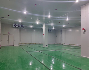 400立方米鋰電池工業防爆冷庫施工報價方案