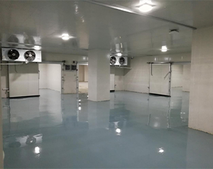 建造獸用疫苗醫療試劑冷庫低溫控制設備價格多少錢?