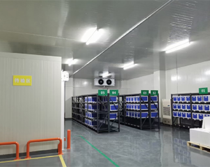 新版gsp體外診斷試劑冷庫(銷售)建設要求