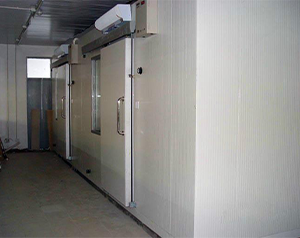 建設(shè)一個萬噸冷藏庫投資費(fèi)用需要多少?