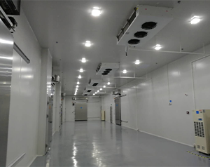 GSP認證醫院藥房冷藏庫（藥品冷庫）建造多少錢一平米