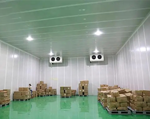農(nóng)產(chǎn)品物流冷庫，電商低溫倉儲冷庫建造及運營成本預算