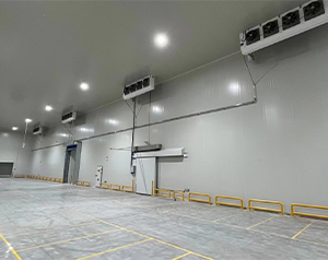 打算投資建設一個冷庫需要準備哪些？