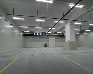 50噸果蔬氣調(diào)庫(kù)造價(jià)是多少錢(qián)一立方米?