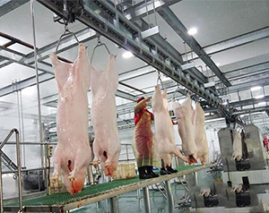 豬肉加工廠冷庫如何進行設計建造？