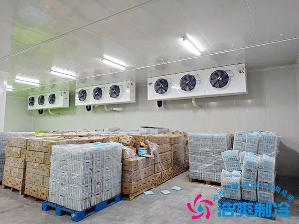 1000平米醫藥冷庫建設方案及造價清單