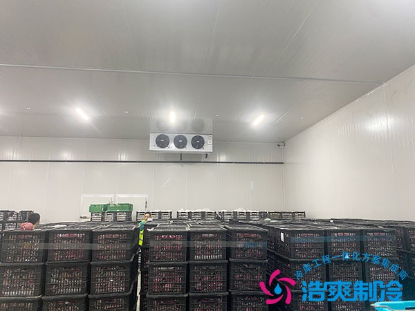 100立方冷凍庫造價預算需要多少錢？