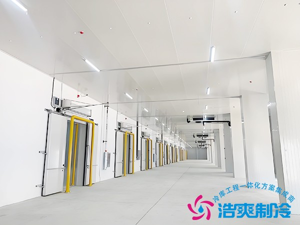 大型冷鏈物流園冷庫設計方案