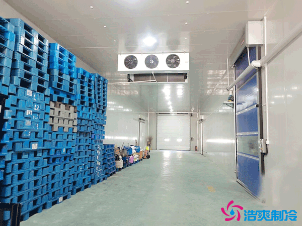 上海建設50噸冷藏庫造價多少錢？50噸冷庫需要多大的機器？