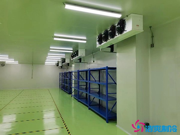 儲存疫苗的企業(yè)獨(dú)立冷庫有幾個？生物疫苗冷庫造價