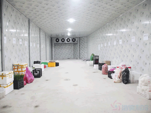 糧油常溫恒溫冷庫建造規劃