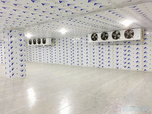 建一個冷凍庫造價需要多少錢一平方？
