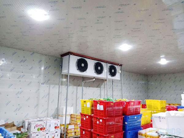 蘋果冷藏庫建設費用一平方多少錢?